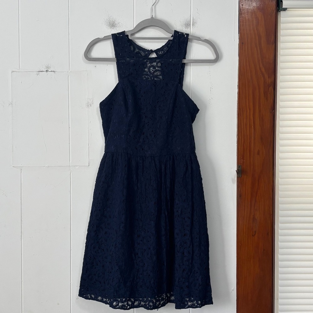 The Limited Navy Blue Lace Fit and Flare Dress High Neck Keyhole Back Size 2